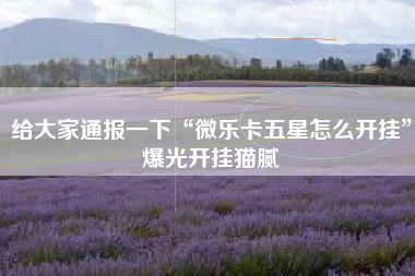 给大家通报一下“微乐卡五星怎么开挂	”爆光开挂猫腻