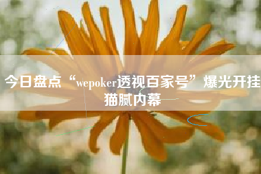今日盘点“wepoker透视百家号	”爆光开挂猫腻内幕