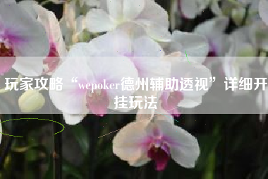玩家攻略“wepoker德州辅助透视	”详细开挂玩法