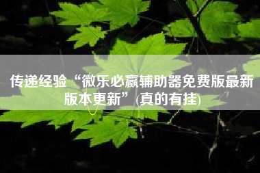 传递经验“微乐必赢辅助器免费版最新版本更新	”(真的有挂)