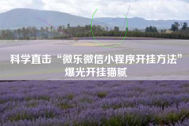 科学直击“微乐微信小程序开挂方法”爆光开挂猫腻