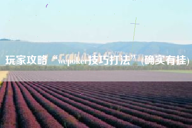 玩家攻略“wepoker技巧打法”(确实有挂)