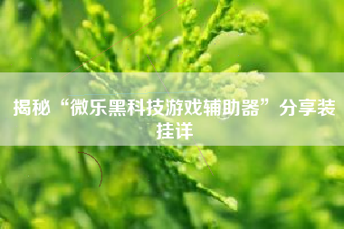 揭秘“微乐黑科技游戏辅助器”分享装挂详