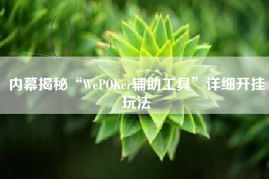 内幕揭秘“WePOKer辅助工具”详细开挂玩法