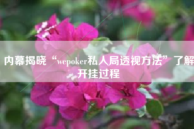 内幕揭晓“wepoker私人局透视方法”了解开挂过程