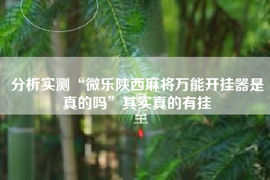 分析实测“微乐陕西麻将万能开挂器是真的吗”其实真的有挂