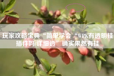 玩家攻略宝典“简单学会“WPK有透明挂插件吗(详细透”确实果然有挂