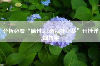 分析必看“德州wpk透视挂下载”开挂详细教学