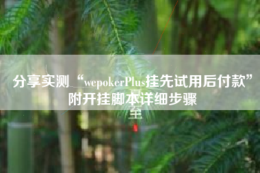分享实测“wepokerPlus挂先试用后付款”附开挂脚本详细步骤