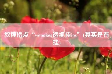 教程指点“wepoker透视挂ios	”(其实是有挂)