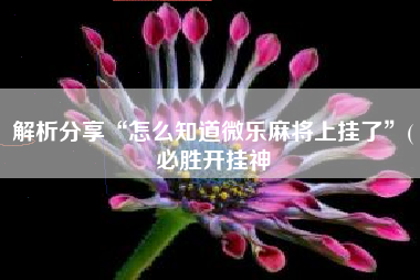 解析分享“怎么知道微乐麻将上挂了	”(必胜开挂神