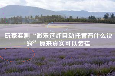 玩家实测“微乐过炸自动托管有什么诀窍”原来真实可以装挂