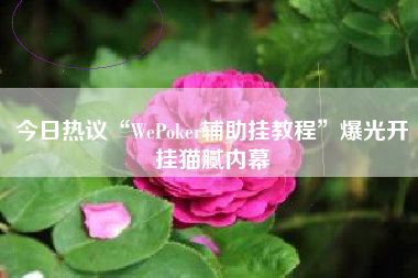 今日热议“WePoker辅助挂教程	”爆光开挂猫腻内幕