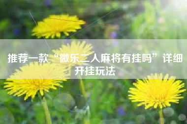 推荐一款“微乐二人麻将有挂吗	”详细开挂玩法