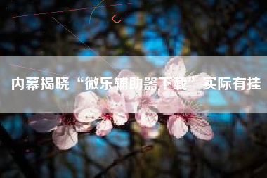 内幕揭晓“微乐辅助器下载”实际有挂