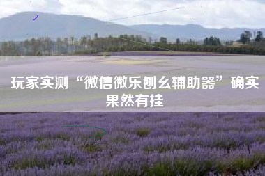 玩家实测“微信微乐刨幺辅助器	”确实果然有挂