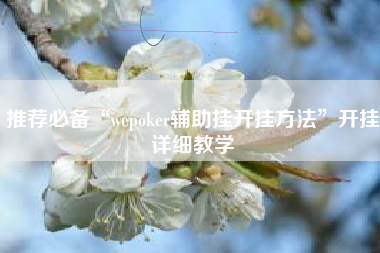推荐必备“wepoker辅助挂开挂方法”开挂详细教学