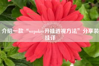介绍一款“wepoker开挂透视方法	”分享装挂详