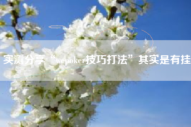 实测分享“wepoker技巧打法”其实是有挂