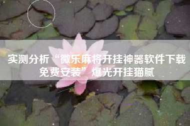 实测分析“微乐麻将开挂神器软件下载免费安装”爆光开挂猫腻