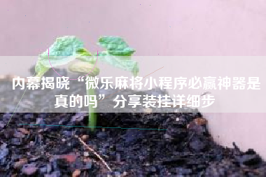 内幕揭晓“微乐麻将小程序必赢神器是真的吗”分享装挂详细步