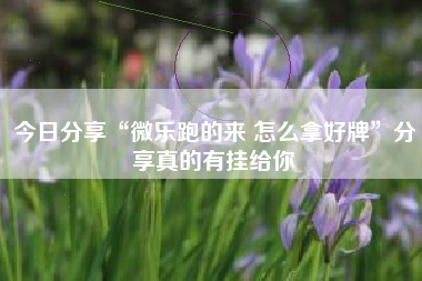 今日分享“微乐跑的来 怎么拿好牌	”分享真的有挂给你