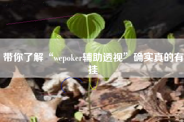 带你了解“wepoker辅助透视	”确实真的有挂