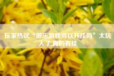 玩家热议“微乐游戏可以开挂吗	”太坑人了,真的有挂