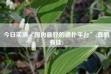 今日实测“国内最好的德扑平台”(真的有挂)