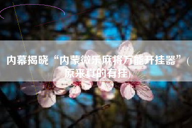 内幕揭晓“内蒙微乐麻将万能开挂器	”(原来真的有挂)