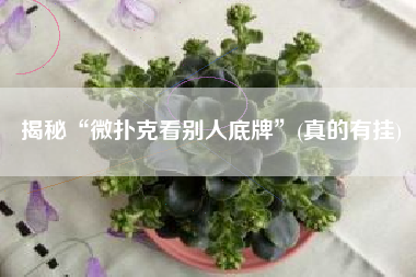 揭秘“微扑克看别人底牌”(真的有挂)
