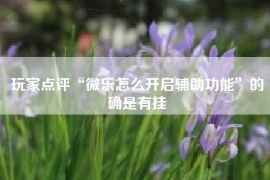 玩家点评“微乐怎么开启辅助功能”的确是有挂