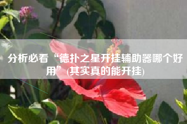 分析必看“德扑之星开挂辅助器哪个好用”(其实真的能开挂)