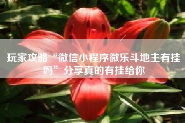 玩家攻略“微信小程序微乐斗地主有挂吗”分享真的有挂给你