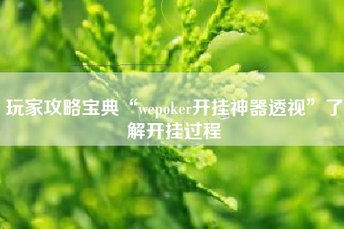 玩家攻略宝典“wepoker开挂神器透视”了解开挂过程