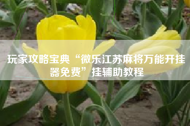 玩家攻略宝典“微乐江苏麻将万能开挂器免费	”挂辅助教程