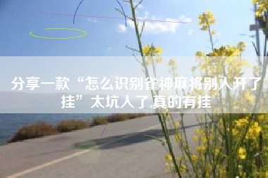 分享一款“怎么识别雀神麻将别人开了挂”太坑人了,真的有挂