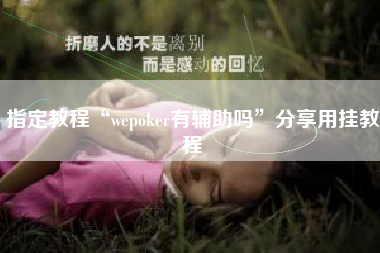 指定教程“wepoker有辅助吗”分享用挂教程