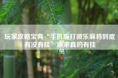 玩家攻略宝典“手机版打微乐麻将到底有没有挂”原来真的有挂