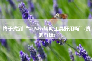 终于找到“WePoker辅助工具好用吗”(真的有挂)