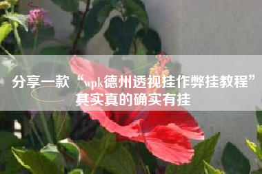分享一款“wpk德州透视挂作弊挂教程	”其实真的确实有挂