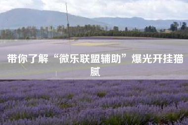 带你了解“微乐联盟辅助	”爆光开挂猫腻