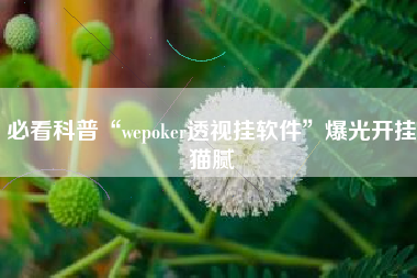 必看科普“wepoker透视挂软件”爆光开挂猫腻