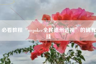 必看教程“wepoker全民德州透视	”的确有挂