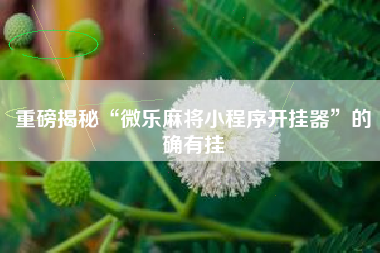 重磅揭秘“微乐麻将小程序开挂器	”的确有挂