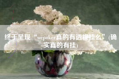 终于呈现“wepoker真的有透视挂么”(确实真的有挂)