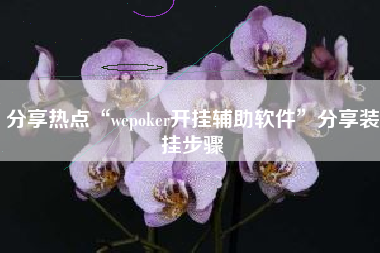 分享热点“wepoker开挂辅助软件”分享装挂步骤
