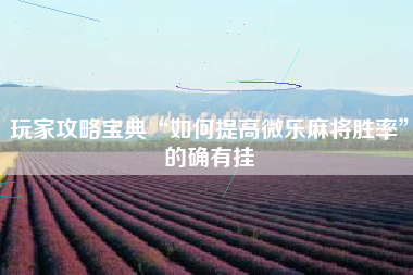 玩家攻略宝典“如何提高微乐麻将胜率”的确有挂