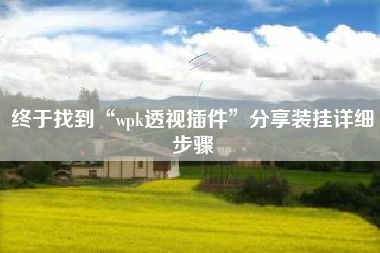 终于找到“wpk透视插件	”分享装挂详细步骤