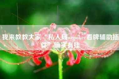 我来教教大家“私人局wepoker看牌辅助插件”确实有挂